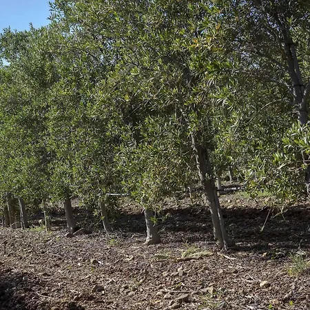 Novotel Perpignan Nord فندق 4*